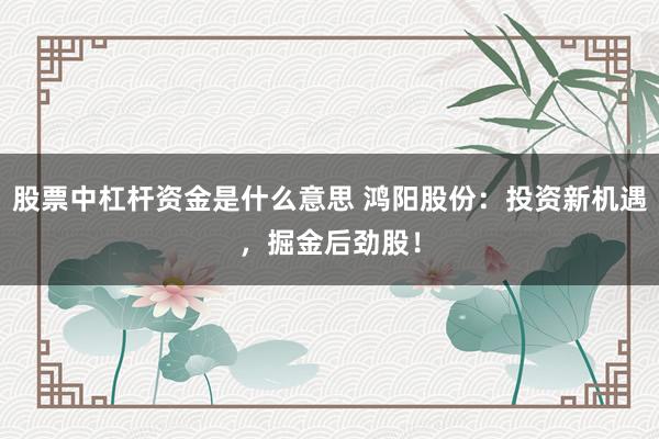 股票中杠杆资金是什么意思 鸿阳股份：投资新机遇，掘金后劲股！