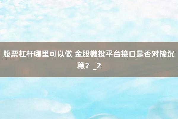 股票杠杆哪里可以做 金股微投平台接口是否对接沉稳？_2